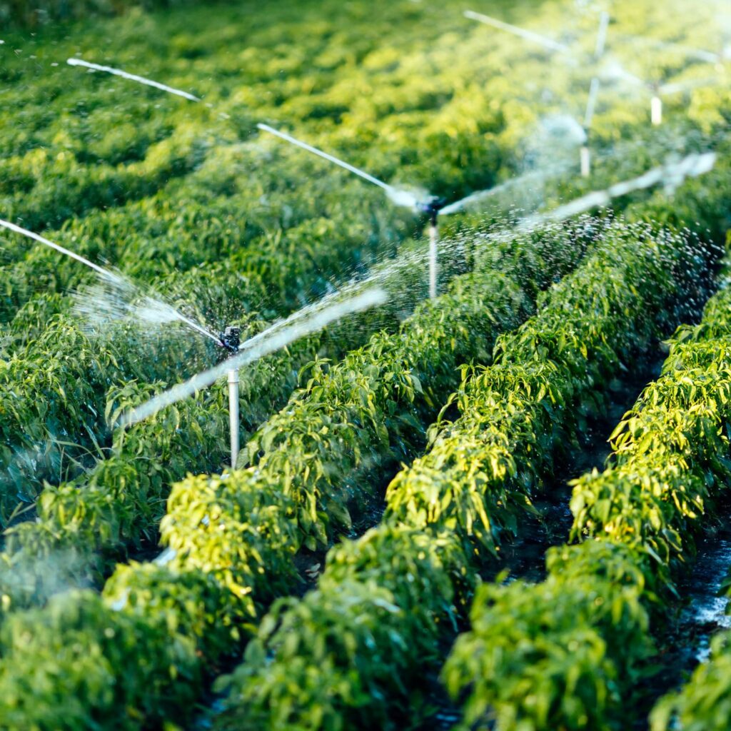 Comprendre la dureté de l’eau et la formation du calcaire