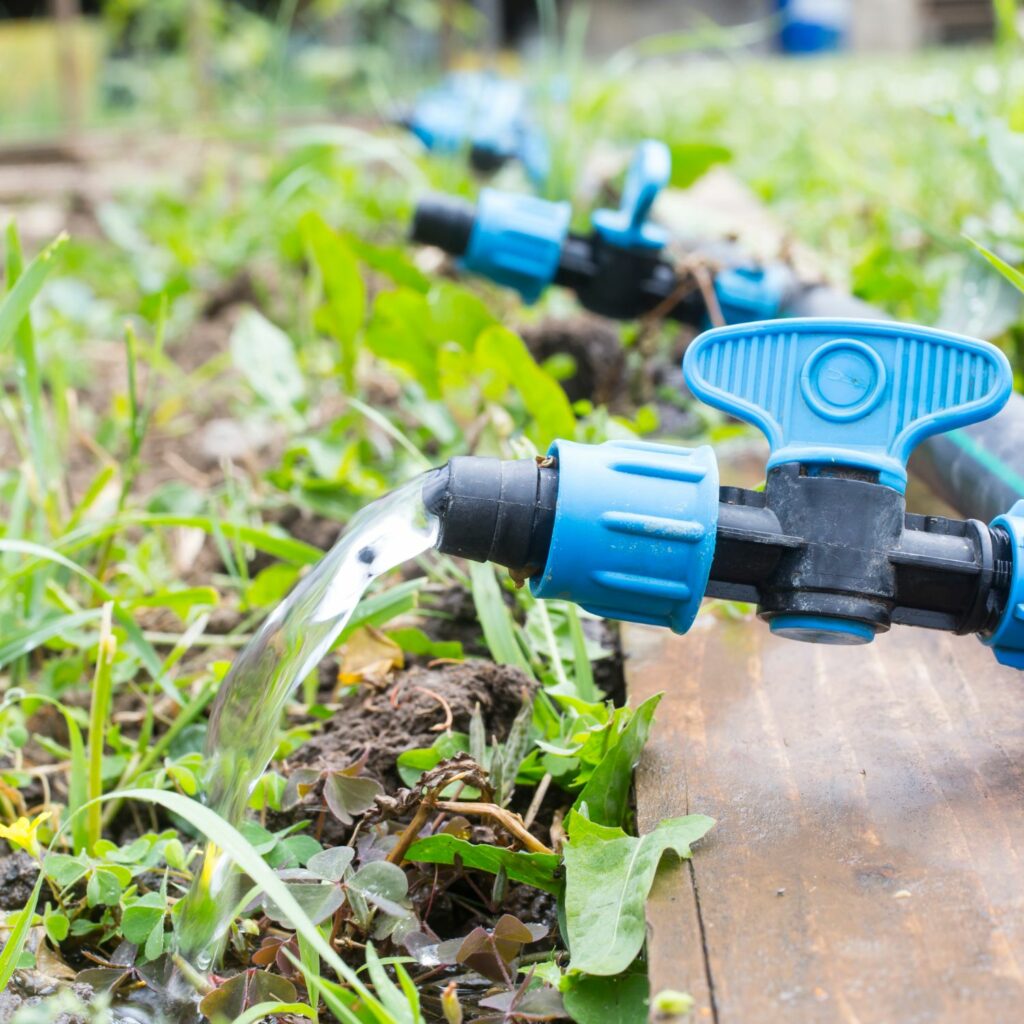 Impact du calcaire sur l'efficacité des systèmes d'irrigation